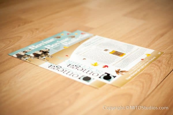 Flyers, Brochures & Newsletters for Omega Scientific, Newsletter (Front)