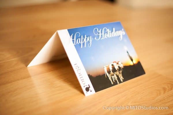 Graphic & Print Design for Omega Scientific, Holiday Card (Folded)