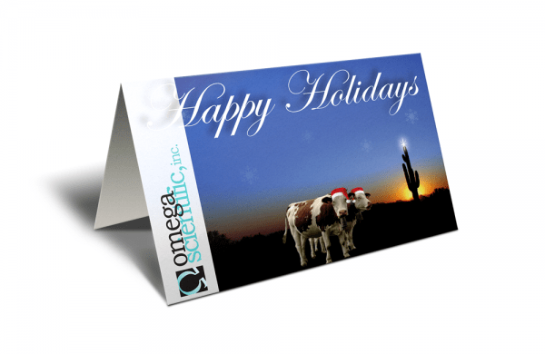 141203-Omega-GreetingCard-2010-Mock