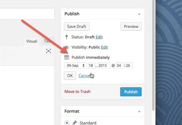 Select the desired date in the "publish date" box. 